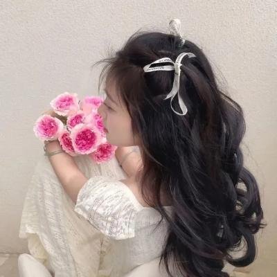 假如动物会摄影